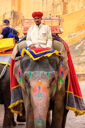 Mahout riding decorated elephant on the cobblestone path to Amber Fort near Jaipur, Rajasthan, India. Elephant rides are popular tourist attraction in Amber Fort.のeditorial素材