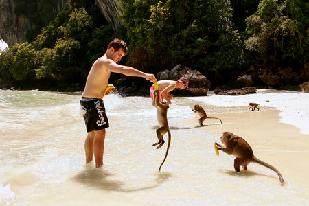 Tourists feeding crab-eating macaques at the beach on Phi Phi Don Island, Krabi Province, Thailand. Koh Phi Phi Don is part of a marine national park.のeditorial素材
