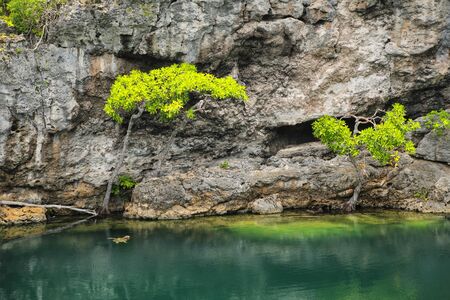 . This hole is connected undeground to the sea.の写真素材