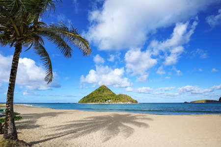 Levera Beach on Grenada Island with a view of Sugar Loaf Island, Grenada.の写真素材