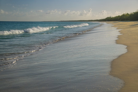 Fayaoue beach on the coast of Ouvea lagoon, Mouli and Ouvea Islands, Loyalty Islands, New Caledonia. The lagoon was listed as Unesco World Heritage site in 2008.の写真素材