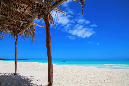 Straw hut at Fayaoue beach on the coast of Ouvea lagoon, Mouli and Ouvea Islands, Loyalty Islands, New Caledonia.の写真素材