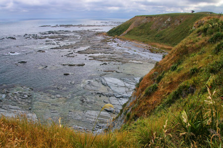 Coastline of Kaikoura Peninsula, South Island, New Zealand. The area is a popular ecotourism...