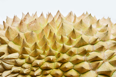 Durian from close rangeの写真素材