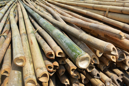 bamboo rodsの写真素材