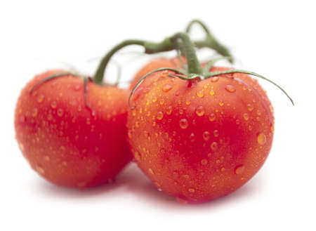 a group of tomatos isolated on white backgroundの写真素材