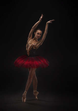 beautiful ballet dancerの写真素材