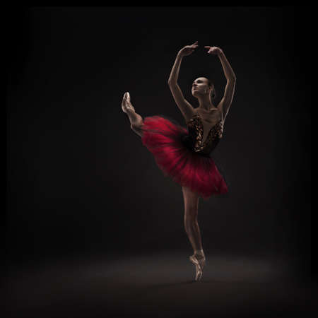 beautiful ballet dancerの写真素材