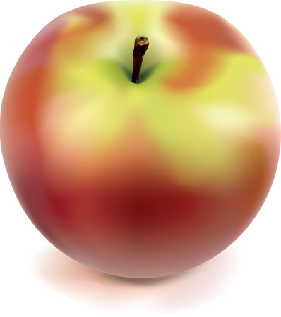 yellow and red apple with mesh gradientのイラスト素材