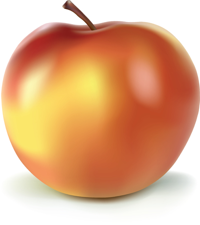 yellow and red apple with mesh gradientのイラスト素材