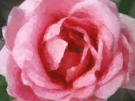 background pink rose from trianglesのイラスト素材