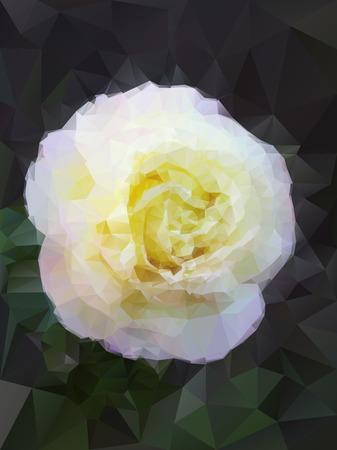 background white rose from trianglesのイラスト素材