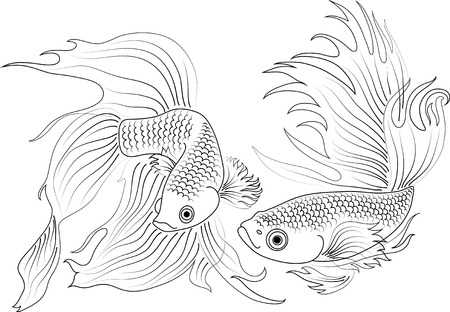 vector aquarium fishのイラスト素材
