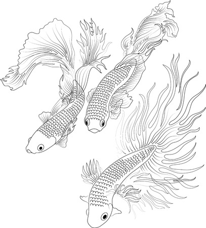 vector aquarium fishのイラスト素材
