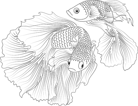 vector aquarium fishのイラスト素材