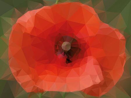 poppy backgroundのイラスト素材