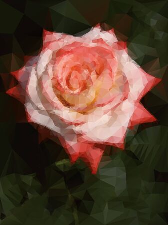 red and white rose backgroundのイラスト素材