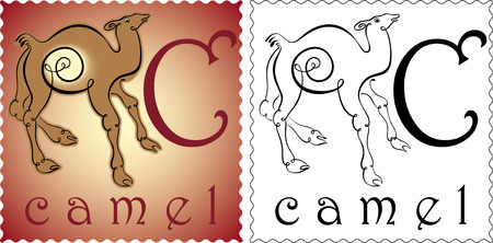 zoo alphabet camelのイラスト素材