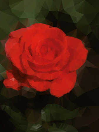 red rose backgroundのイラスト素材