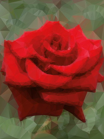 red rose backgroundのイラスト素材