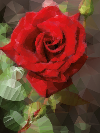 red rose backgroundのイラスト素材