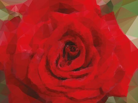 red rose backgroundのイラスト素材