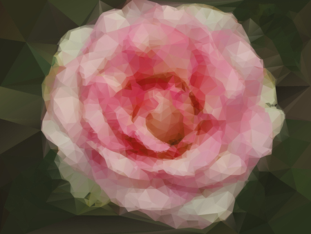 pink rose backgroundのイラスト素材