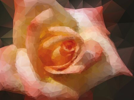 pink rose backgroundのイラスト素材