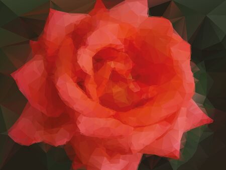rose backgroundのイラスト素材