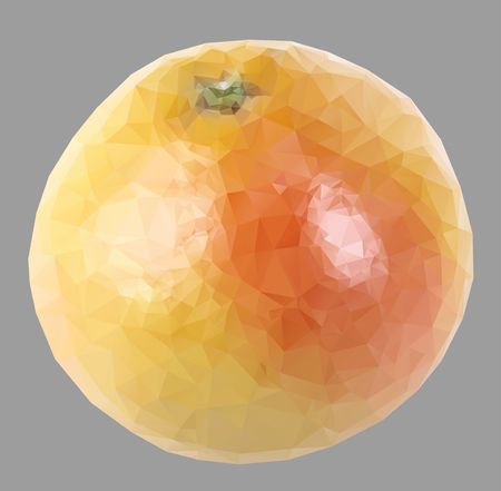 grapefruit with trianglesのイラスト素材