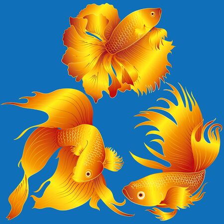 vector aquarium fishのイラスト素材