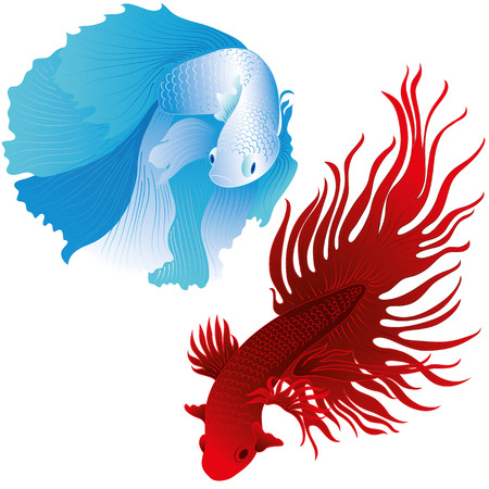 vector aquarium fishのイラスト素材