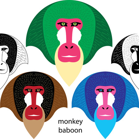 monkey baboonのイラスト素材