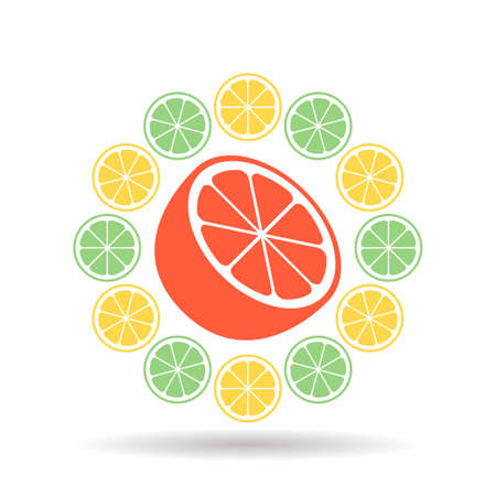 Citrus Pattern on white background.のイラスト素材