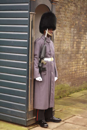 On Guard at the Palace