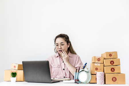 The owner of the online store page is delighted to see the monthly purchase amount has reached the desired target. She runs an online business for sale on pages and websites. Online selling ideas.の写真素材