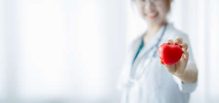 Female doctor standing holding a small red heart, a hospital cardiologist. Modern medical concepts in cardiology and disease treatment. copy space.の写真素材