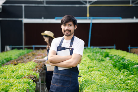 A man owns a hydroponic vegetable garden, he grows wholesale hydroponic vegetables in restaurants and supermarkets, organic vegetables. new generations growing vegetables in hydroponics concept.の写真素材