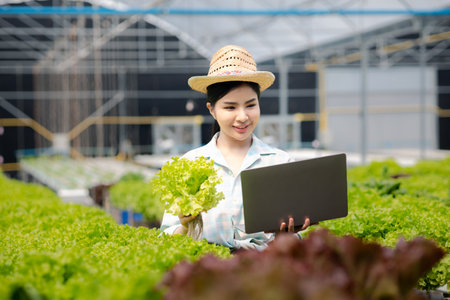 A gardener woman holding laptop in the hydroponics field grows wholesale hydroponic vegetables in restaurants and supermarkets, organic vegetables. growing vegetables in hydroponics concept.の写真素材