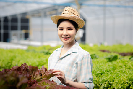 woman in the hydroponic vegetable farm grows wholesale hydroponic vegetables in restaurants and supermarkets, organic vegetables. new generations growing vegetables in hydroponics conceptの写真素材