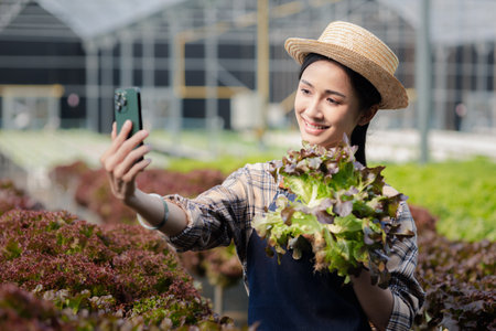 Woman doing live recommendation of growing hydroponics vegetables on social media, grows wholesale hydroponic vegetables in restaurants and supermarkets, organic vegetables.の写真素材