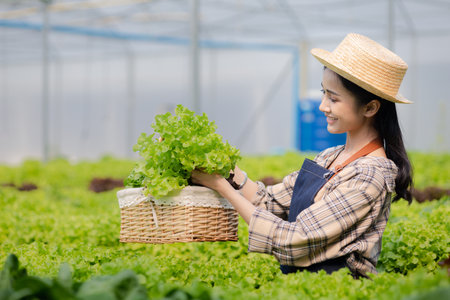 woman in the hydroponic vegetable farm grows wholesale hydroponic vegetables in restaurants and supermarkets, organic vegetables. new generations growing vegetables in hydroponics conceptの写真素材
