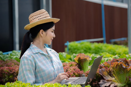 A gardener woman holding laptop in the hydroponics field grows wholesale hydroponic vegetables in restaurants and supermarkets, organic vegetables. growing vegetables in hydroponics concept.の写真素材