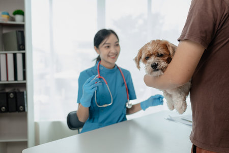 A dog is being given injections by a veterinarian at an animal hospital, A veterinarian prepares to vaccinate a dog in his private office at an animal hospital,の写真素材