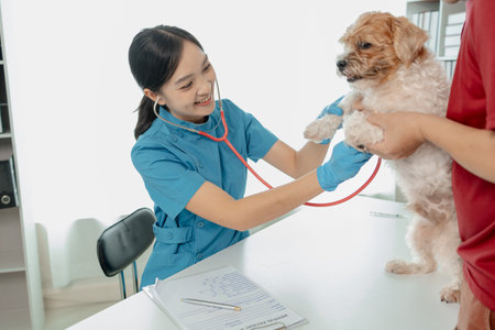 Veterinarian is working in animal hospital, A veterinarian is examining a dog to see what disease it is suffering from, The little dog was being examined by a veterinarian at a clinic.の写真素材