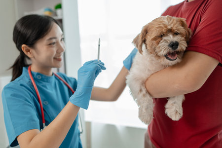 A dog is being given injections by a veterinarian at an animal hospital, A veterinarian prepares to vaccinate a dog in his private office at an animal hospital,の写真素材