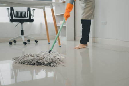 Clean the floor with a mop, Clean the floor in the living room, Clean the rooms inside the apartment...