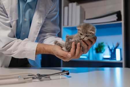 a lovely little kitten is examined by a veterinarian, a veterinary is examining a fluffy adorable kitten in animal hospital, vaccination is important for pet, little paw of catの写真素材