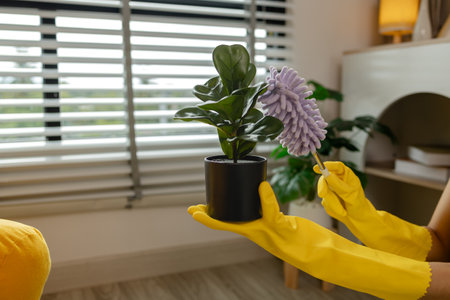 cleaning every single furnitures and decorations to keep them clean and neat before her parent back home, remove dust in living room with spray and towel, wearing gloves and apron.の写真素材