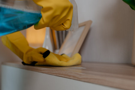 she is cleaning her apartment every weekend to keep everything neat, living room has no dust at all, wearing protection while cleaning which is gloves and apron, furniture, maidの写真素材